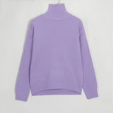 Wixra Basic Turtleneck Sweaters Women Pullover Jumper New Korean Chic Fashion Autumn Winter Ladies Solid Knitwear