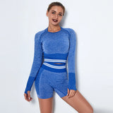 Athletic Seamless Striped Set Gym Sport Suit Workout Clothes Women Long Sleeve Shirts Seamless Shorts Fitness
