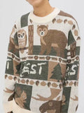 QWEEK Harajuku Women Winter Sweater Animal Print Long Sleeve Jumpers Vintage Knitted Pullover Korean 2021 Cute Couple