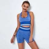 Athletic Seamless Striped Set Gym Sport Suit Workout Clothes Women Long Sleeve Shirts Seamless Shorts Fitness
