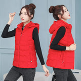 Ladies 2023 Autumn Winter Down Cotton Vest Short Korean Version Slim Slim Vest Vest Outside The Vest-Outfit