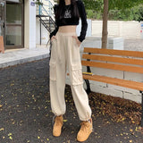 Casual Workwear Trousers Women's Early Autumn High-Waisted Thin Trousers Straight Broad-Legged
