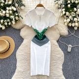 Chic Vintage Knitted Dress Women's Summer 2025 Summer Recealing Skinny Polo Collar Short-Sleeved Bust
