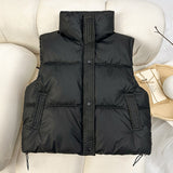 Autumn Winter Korean Version Of Foreign Style Loose And Versatile Sleeveless Short Standing Collar Down Cotton Vest Women's Design Sense Horse Clip Coat-Outfit