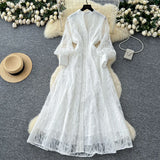 Retro Elegant Dress Woman 2025 New High-End Collar Single Buckle Waist Embroidery Mesh
