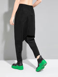 High Elastic Waist Black Brief Long Shaped Harem Pants New Loose Fit Trousers Women Fashion Spring Autumn 2023