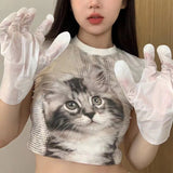 Kawaii Kitten Print Crop Tops Korean Fashion Cute Cat T-shirt Y2k Aesthetics Short Sleeve Tee Shirt Patchwork Sweet