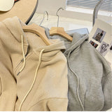 Toloer Hoodie Female Autumn New Loose Show Thin Design Sense Spring And Summer Coat Female Zipper