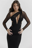 Mesh Long Sleeve Bodycon Deep Neck Maxi Dress-Outfit
