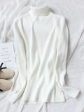 Women Turtleneck Sweaters Autumn Solid Slim Pullover Coffee Soft Knitted Jumper Pulls Warm Sweater Winter Turtleneck