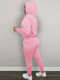 Casual Sport Embroidered Fleece Hoodies and Sweatpants 2 Piece Set Sportswear