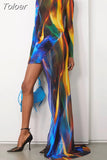Spring Fashion Colorblock Dress For Women Turtleneck Long Sleeve Patchwork Sheer Mesh Irregular Dresses Female 2023