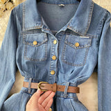 Water Wash Denim Dress Women's Autumn New High-End Thin Temperament Waist Single Buckle Long