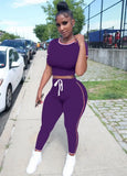 Tight Fitting Crop Top and Pants Casual Two Piece