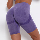Fit Leggings High Waist Sport Short Leggins Hip Push Up Women Gym Fitness Legging Tummy Control Workout Gym workout