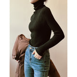 Women's Solid Color Turtleneck Slim Fitted Knit Tops 8 Colors Ribbed Striped Pit