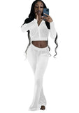 Casual Crop Top And Pants 2 Piece Velvet