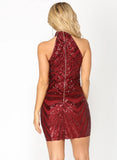 Sexy Sequins Sleeveless Bodycon Party