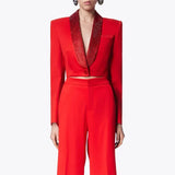 Toloer Advanced Sense Small Suit Spring 2024 New Hot Diamond Bare Back Short Long Sleeve Women's Coat-Outfit