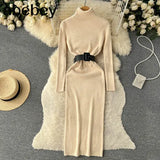 Autumn Winter Women Knitted Dress Turtleneck Sweater Dresses Lady Slim Bodycon Long Sleeve Bottoming Dress