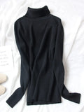 Women Turtleneck Sweaters Autumn Solid Slim Pullover Coffee Soft Knitted Jumper Pulls Warm Sweater Winter Turtleneck