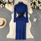 Autumn Winter Women Knitted Dress Turtleneck Sweater Dresses Lady Slim Bodycon Long Sleeve Bottoming Dress